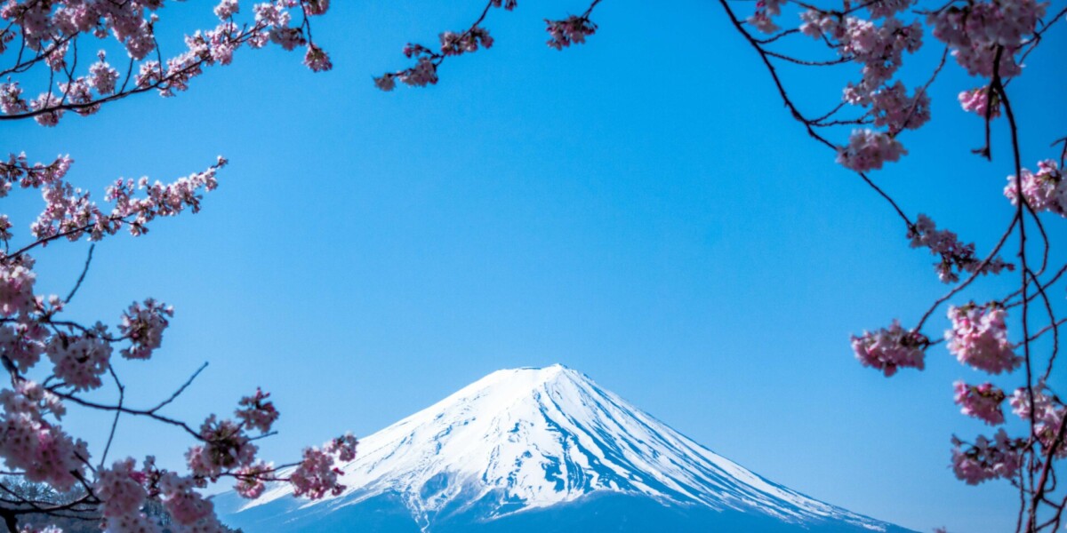 Το Όρος Φούτζι με ανθισμένες κερασιές sakura, εμβληματικό τοπίο φυσικής ομορφιάς στην Ιαπωνία